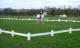 Dressage Arena Horse Jumps